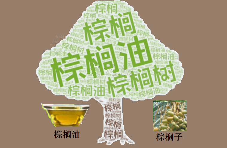 XM平台登录:棕榈油月线两连阴,4200林吉特支撑位正在面临考验